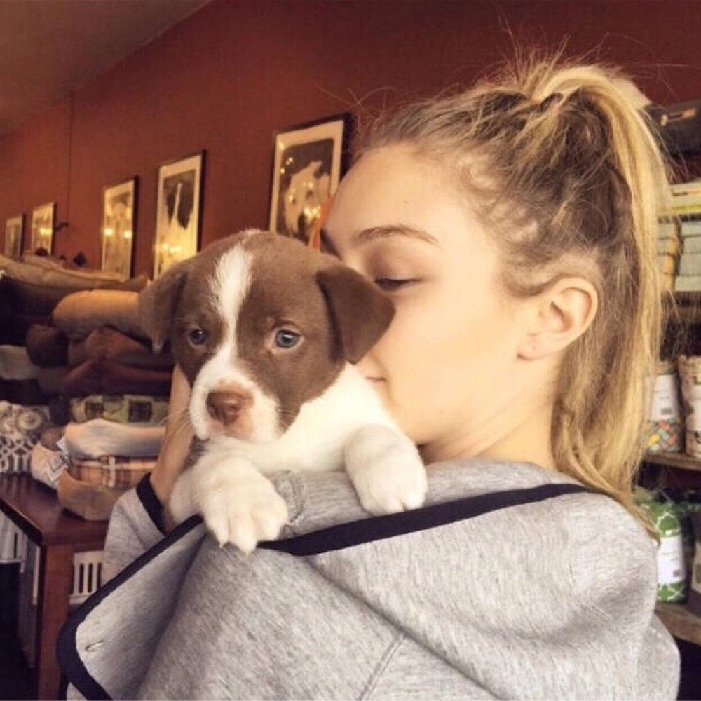 Meet your Posher, Mary